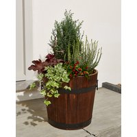 Extra Large Flowering Barrel