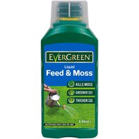 Evergreen Lawn Feeder And Moss Killer