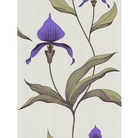 Cole & Son Orchid Wallpaper, Violet, 66/4024