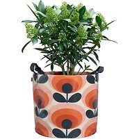 Orla Kiely 70's Flower Oval Large Fabric Plant Bag, Red