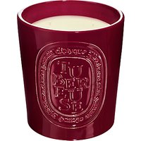 Diptyque Large Indoor & Outdoor Tubéreuse Scented Candle, 1500g