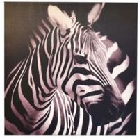 Zebra Black & White Canvas (W)800mm (H)800mm