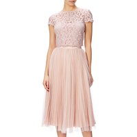 Adrianna Papell Petite Cap Sleeve Scroll Lace Evening Top, Blush