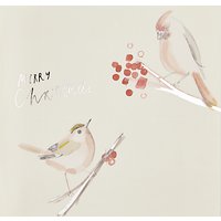 John Lewis Christmas Birds Charity Christmas Cards, Pack Of 6