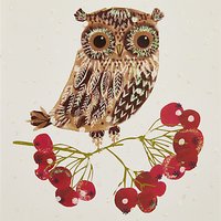 John Lewis Owl And Berries Charity Christmas Cards, Pack Of 6
