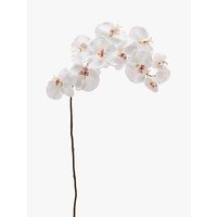 Peony Artificial Phalaenopsis Orchid Single Stem, White