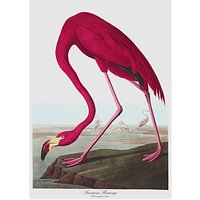 Magpie Flamingo Tea Towel