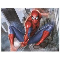 Spiderman Evolution Burst Canvas (W)600mm (H)800mm
