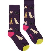 Joules Brilliant Bamboo Dog Ankle Socks, Multi