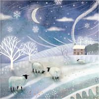 Almanac Winter Woolies Charity Christmas Cards, Pack Of 6