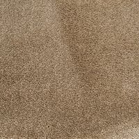 Elements Synergy Synthetic Luxury Cut Pile Carpet - Mist