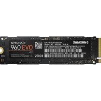 SAMSUNG 960 Evo Internal SSD - 250 GB
