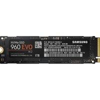 SAMSUNG 960 Evo Internal SSD - 1 TB