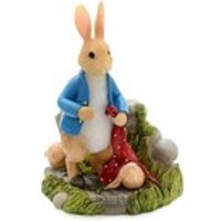 Beatrix Potter Peter Rabbit Garden Anniversary Figurine In Tin - P8739