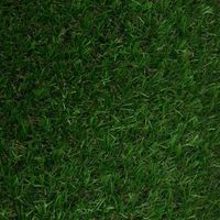 Banbury Heavy Density Luxury Artificial Grass (W)2m X (T)30mm