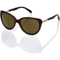 Ted Baker Ladies Tortoise And Rose Gold Oversized Sunglasses