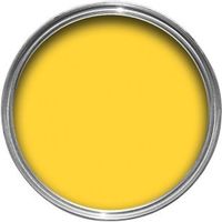 Sandtex Exterior Hot Mustard Gloss Wood & Metal Paint 750ml