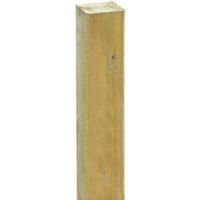 Grange Timber Pale Green Garden Stake (W)30mm (H)1.2m