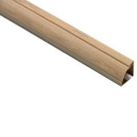 D-Line 22mm X 2m Stainable Trunking