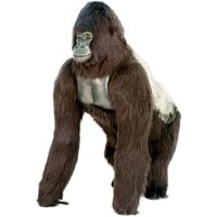 Hansa Toys Lifesize Silver Back Gorilla 170cm