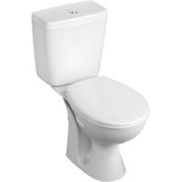 Armitage Shanks Sandringham 21 Close-Coupled Toilet Pack With Standard Close Seat