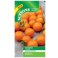 Suttons Tomato Seeds F1 Sungold