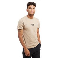 The North Face NSE T-shirt - Beige - Mens