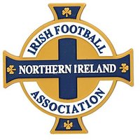 Official Team Northern Ireland 3D Crest Magnet - White - Mens