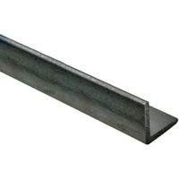 Varnished Steel Corner (H)20mm (W)15mm (L)2m
