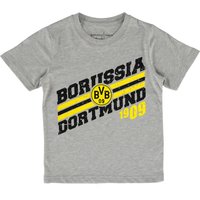 BVB Borussia Dortmund T-Shirt - Grey - Junior, Grey