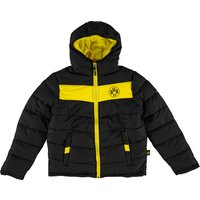 BVB Winter Padded Jacket - Black/Yellow Junior, Black