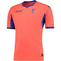 Granada Third Shirt 2016-17, Orange