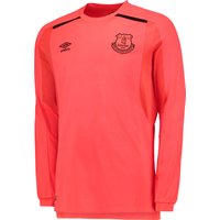 Everton Goalkeeper Home Shirt 2017/18 - Junior, Green