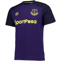 Everton Training CVC Tee - Parachute Purple/Evening Blue, Blue