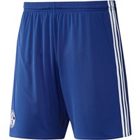 Schalke 04 Away Shorts 2017-18, N/A