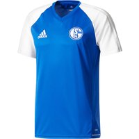 Schalke 04 Training Jersey - Blue, Blue