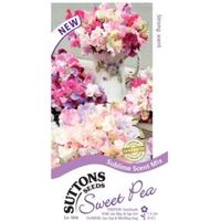 Suttons Sweet Pea Seeds Sublime Scent