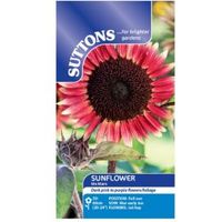 Suttons Sunflower Seeds Ms Mars