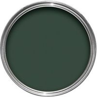 Hammerite Wild Thyme Gloss Metal Paint 250 Ml