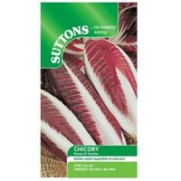 Suttons Chicory Seeds Rossa Di Treviso