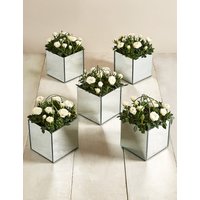 5 Pure Rose Mirrored Cubes