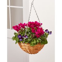 Autumn Hanging Basket (Pre Order)