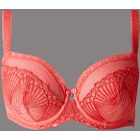 Autograph Embroidered Non-Padded Balcony Bra DD-G