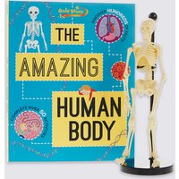 Human Body Factivity Book