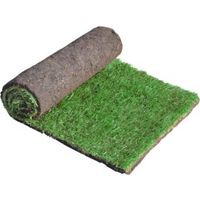 Lawn Turf (W)610mm (L)1370mm Roll Of 40