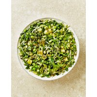 Supergreen Salad