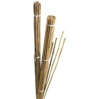 Gardman Bamboo Canes (W)55mm (H)1.84m