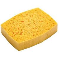 Oakey Sponge