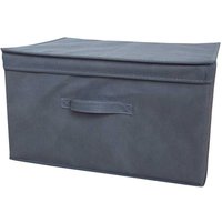 Zest4Leisure Medium Foldable Storage Box With Lid