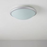 Ebo White Frosted Ceiling Light